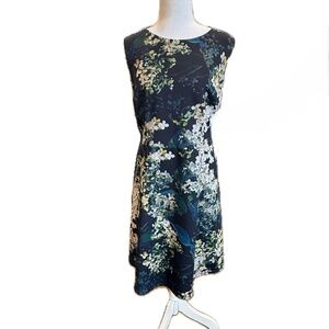 Adrianna Papell Dress 14 W